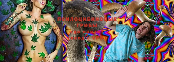 амф Бронницы
