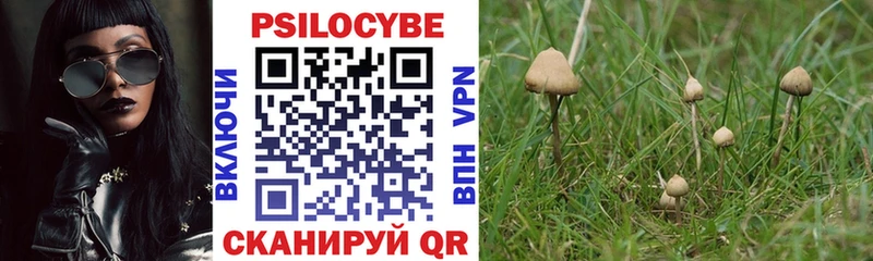 Галлюциногенные грибы GOLDEN TEACHER  Купить закладки  Чернушка 