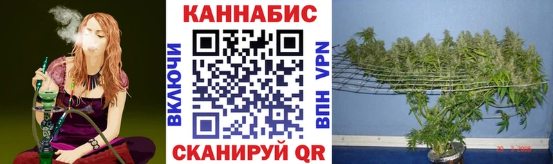 Купить  Чернушка  Бошки марихуана Amnesia 